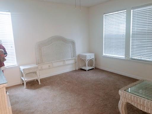 3314 HAVILAND CT #104, PALM HARBOR, FL, 34684