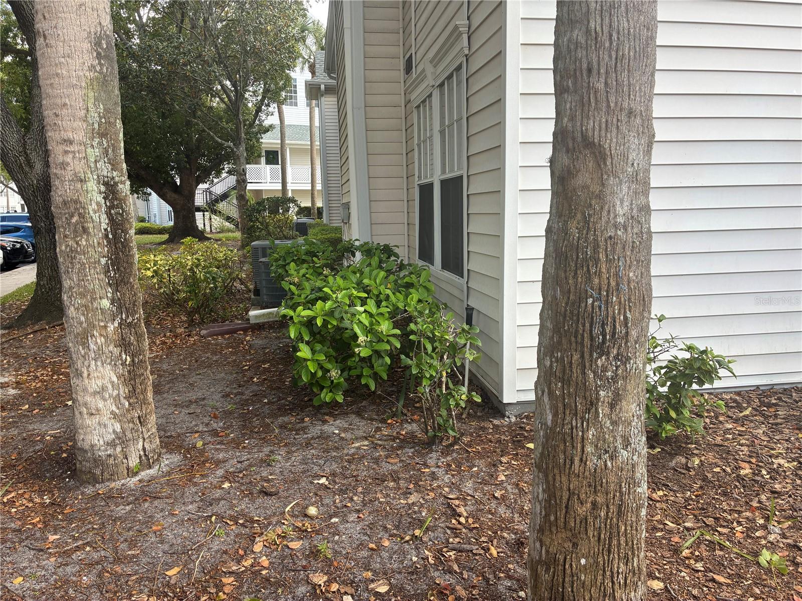 3314 HAVILAND CT #104, PALM HARBOR, FL, 34684