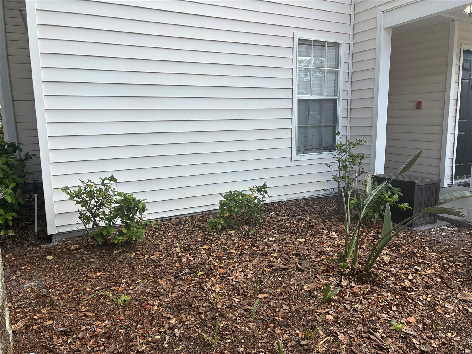 3314 HAVILAND CT #104, PALM HARBOR, FL, 34684