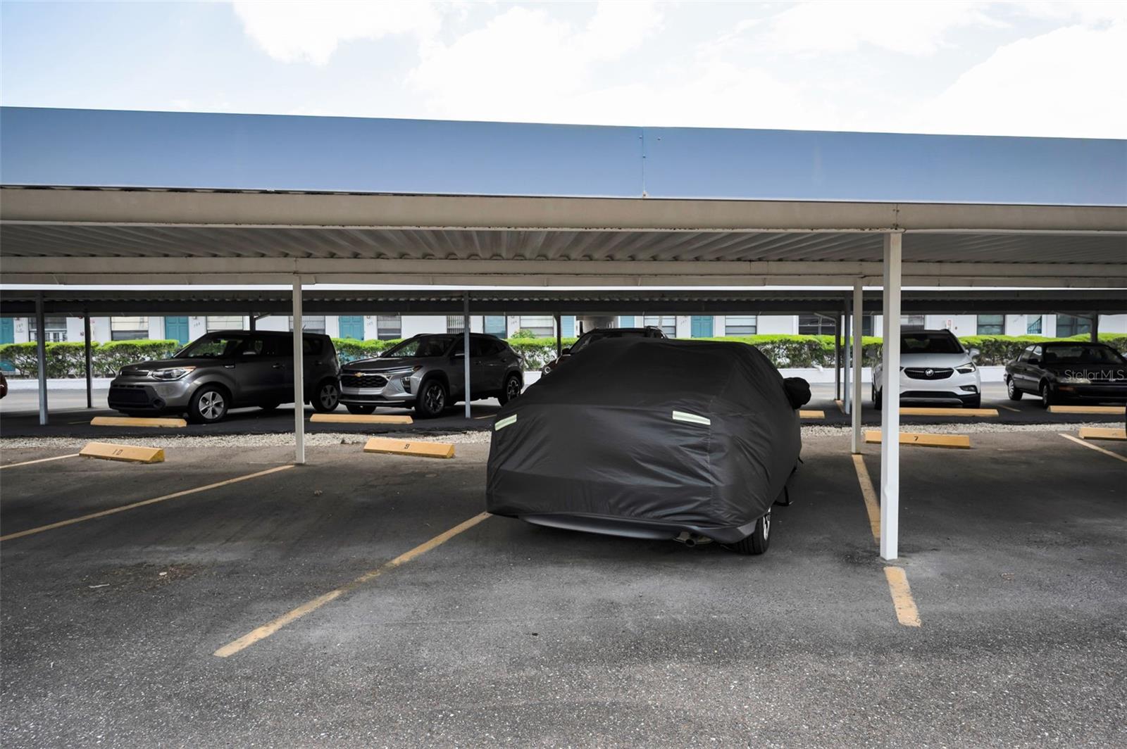 5969 TERRACE PARK DR N #303, ST PETERSBURG, FL, 33709