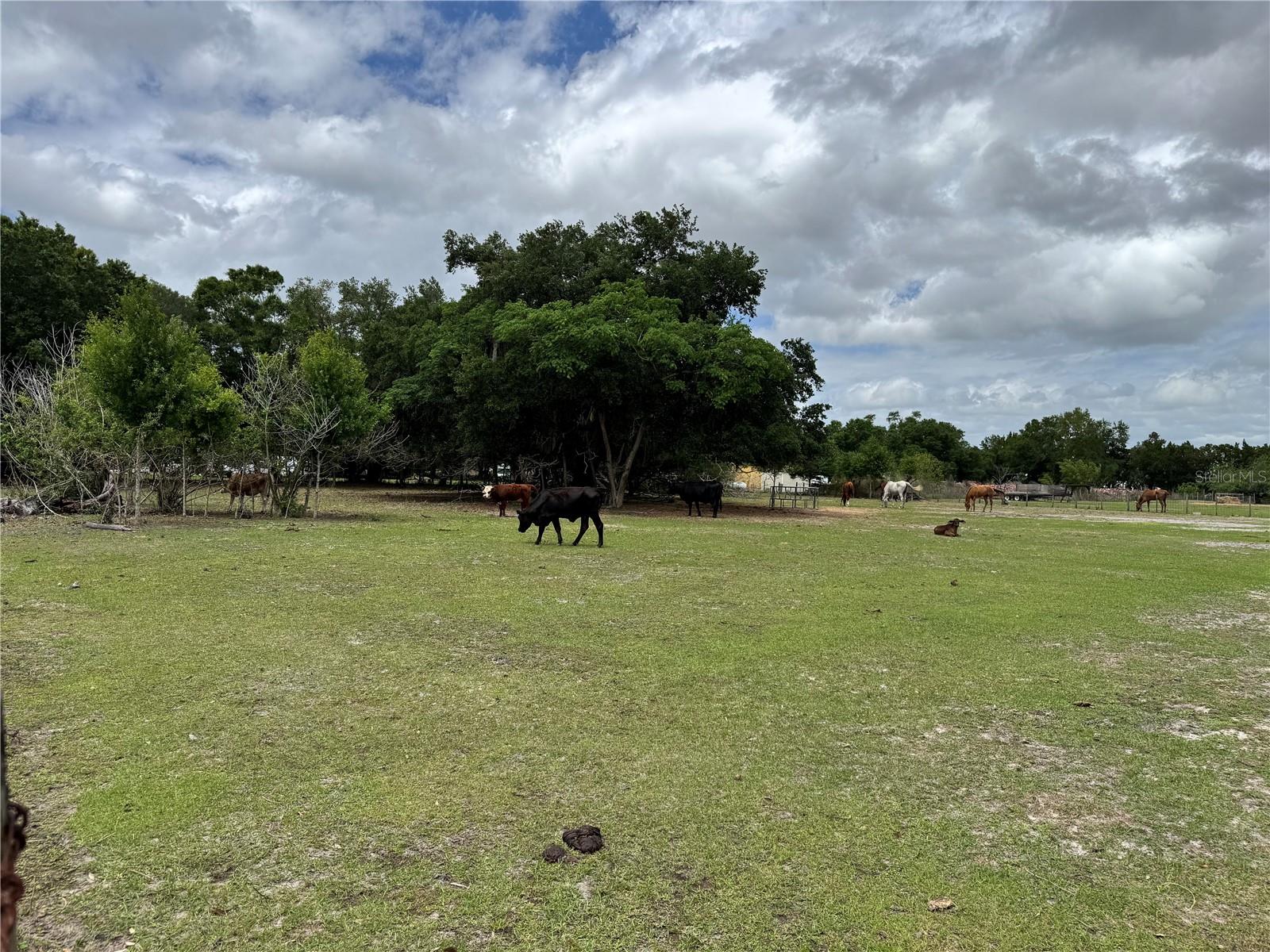 1804 ZIPPERER RD, BRADENTON, FL, 34212