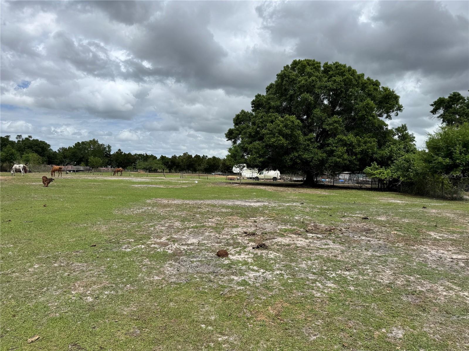 1804 ZIPPERER RD, BRADENTON, FL, 34212