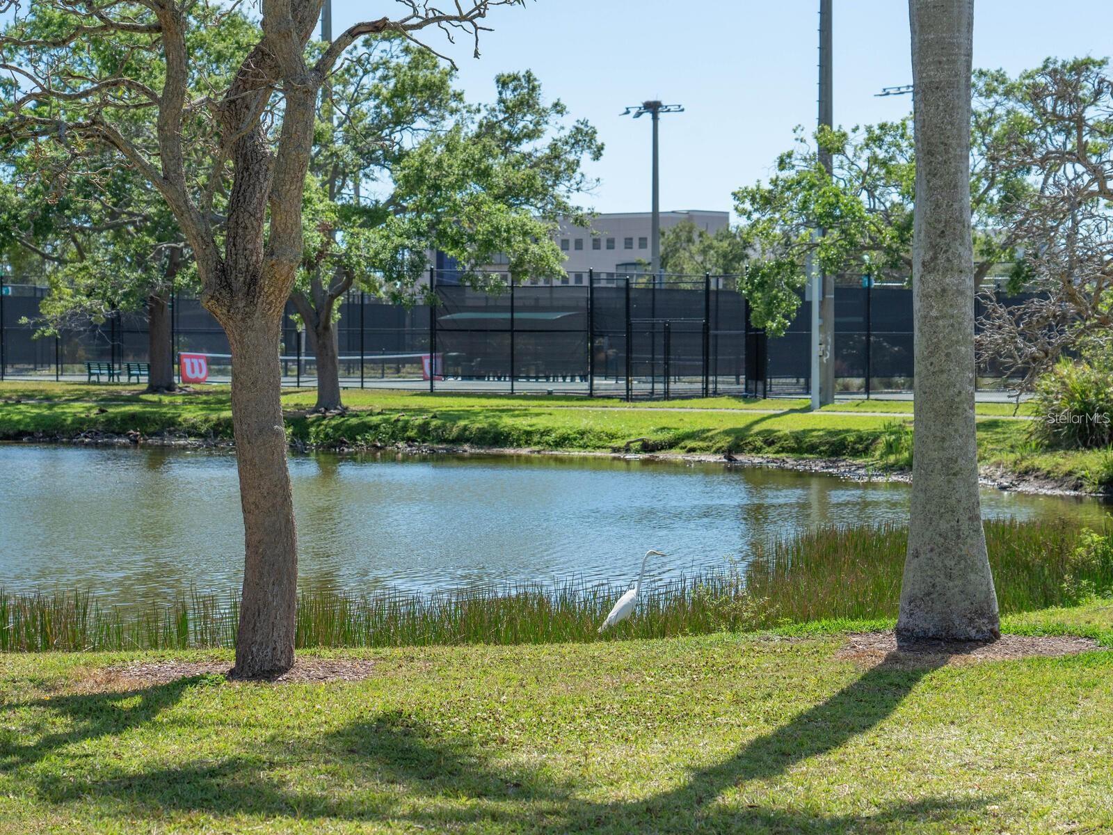 508 LAUREL PARK DR, SARASOTA, FL, 34236