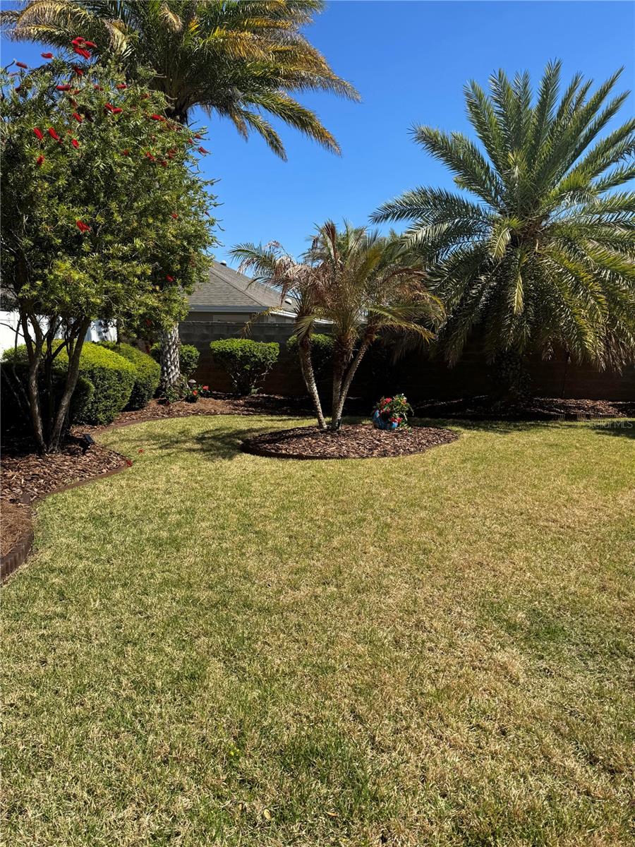 1883 LOADSTAR AVE, THE VILLAGES, FL, 32162