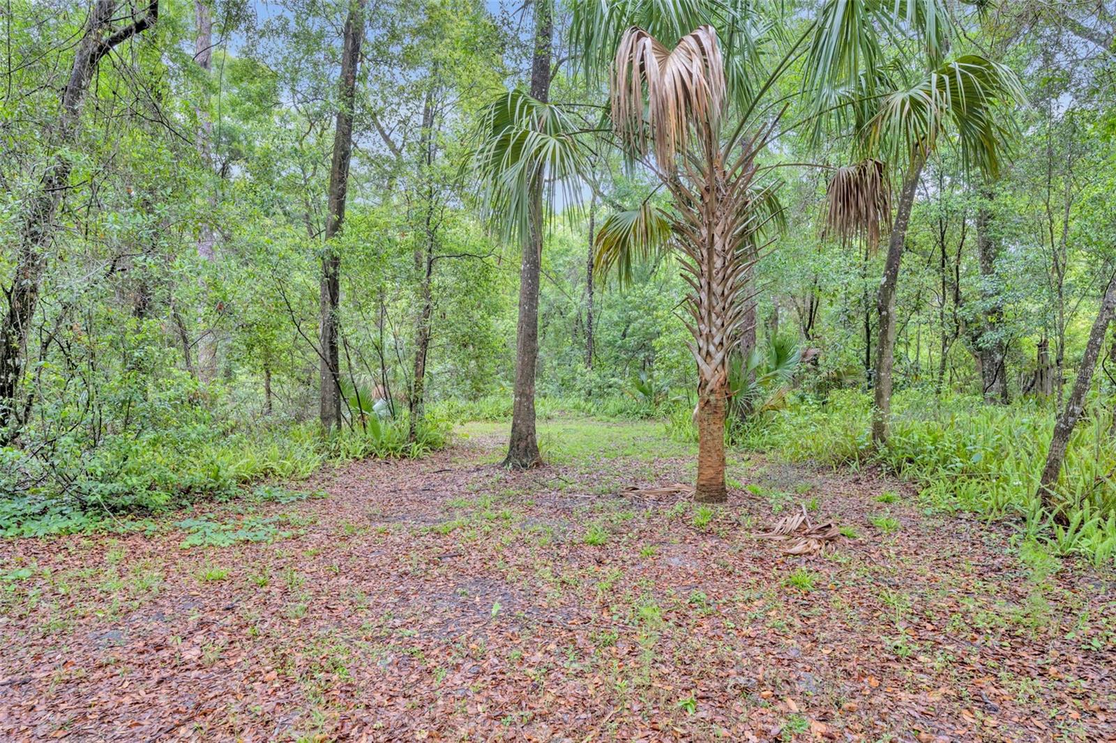 1640 STRATHCONA AVE, DELAND, FL, 32720