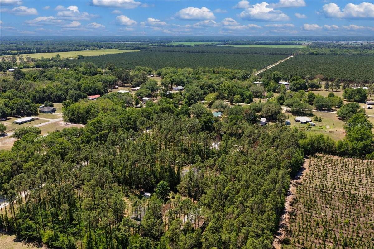 700 SW 105TH ST, TRENTON, FL, 32693