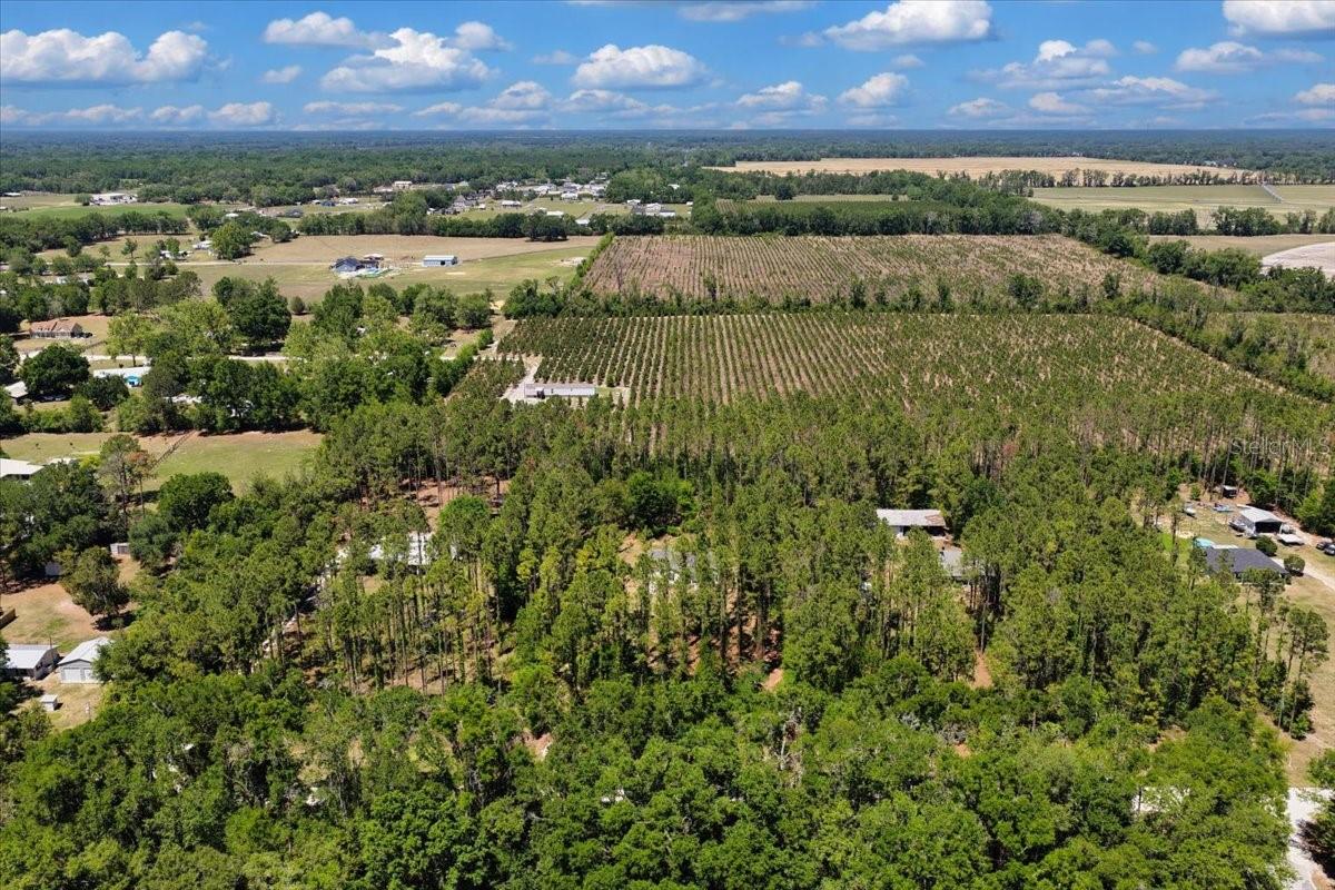 700 SW 105TH ST, TRENTON, FL, 32693