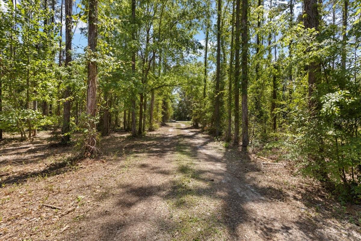 700 SW 105TH ST, TRENTON, FL, 32693