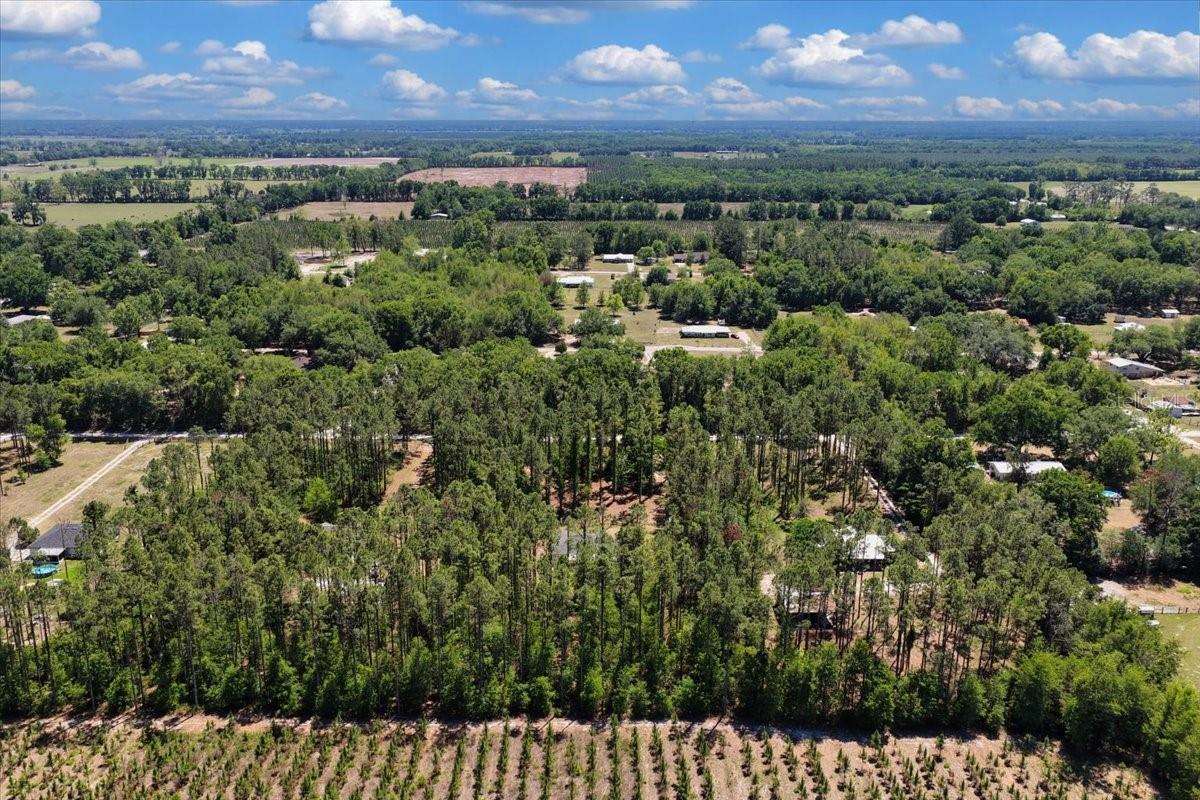 700 SW 105TH ST, TRENTON, FL, 32693