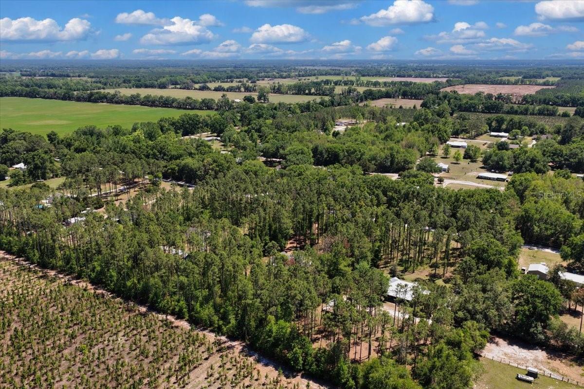 700 SW 105TH ST, TRENTON, FL, 32693