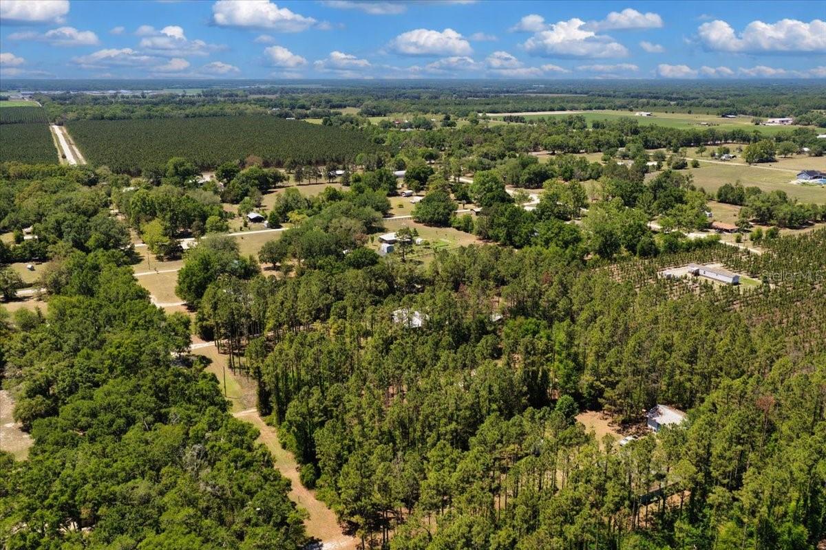 700 SW 105TH ST, TRENTON, FL, 32693