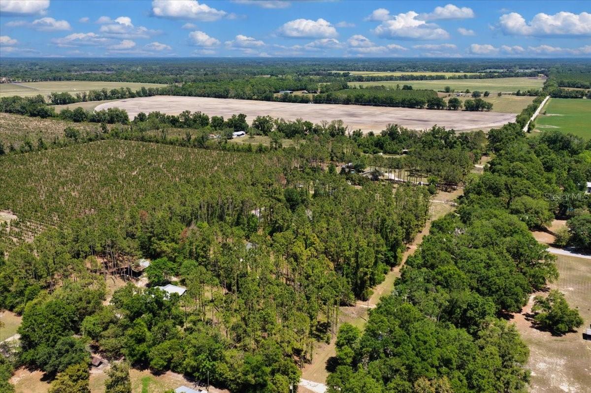 700 SW 105TH ST, TRENTON, FL, 32693