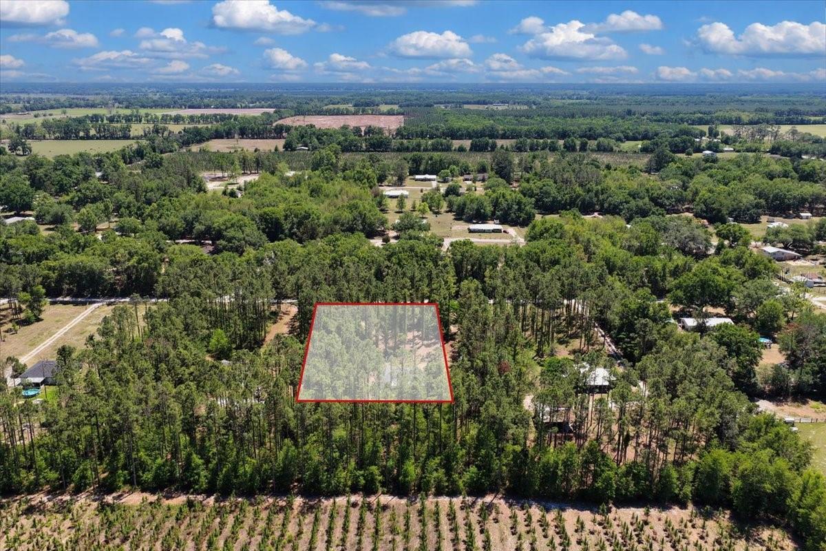 700 SW 105TH ST, TRENTON, FL, 32693