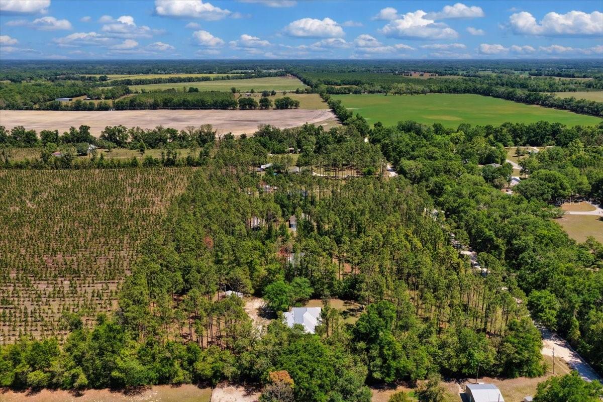 700 SW 105TH ST, TRENTON, FL, 32693