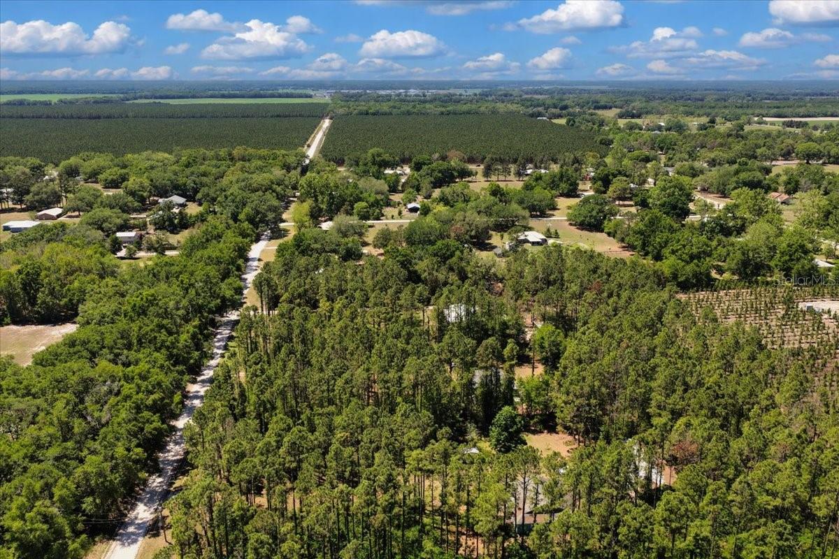 700 SW 105TH ST, TRENTON, FL, 32693