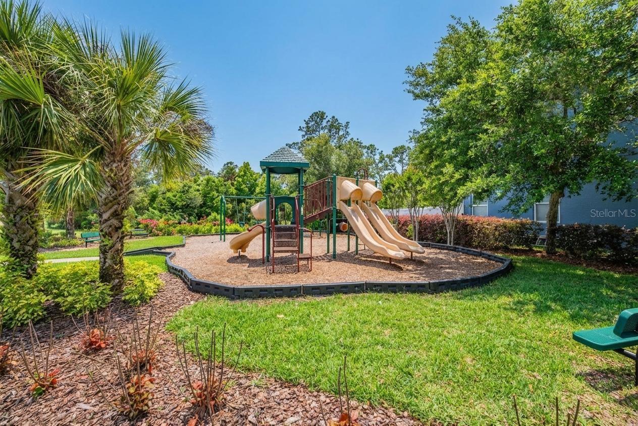 8115 CHAMPIONS FOREST WAY, TAMPA, FL, 33635