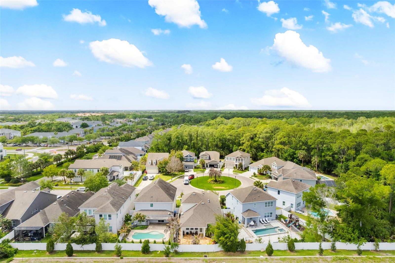 8115 CHAMPIONS FOREST WAY, TAMPA, FL, 33635