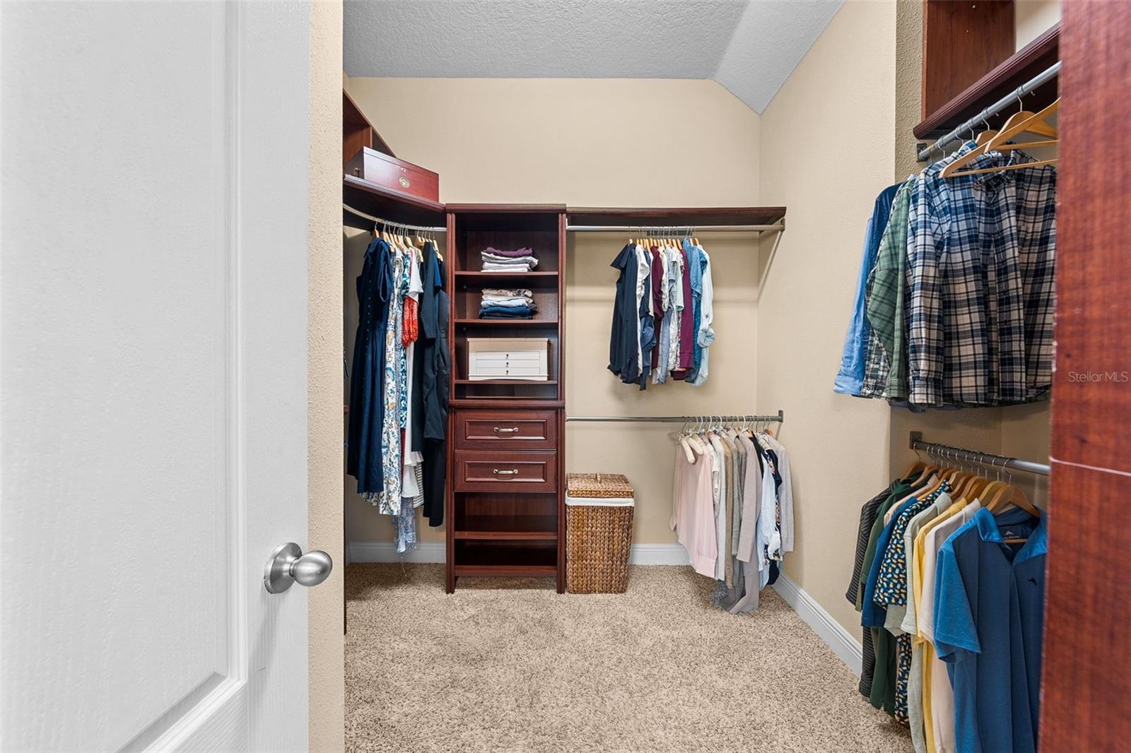 8115 CHAMPIONS FOREST WAY, TAMPA, FL, 33635