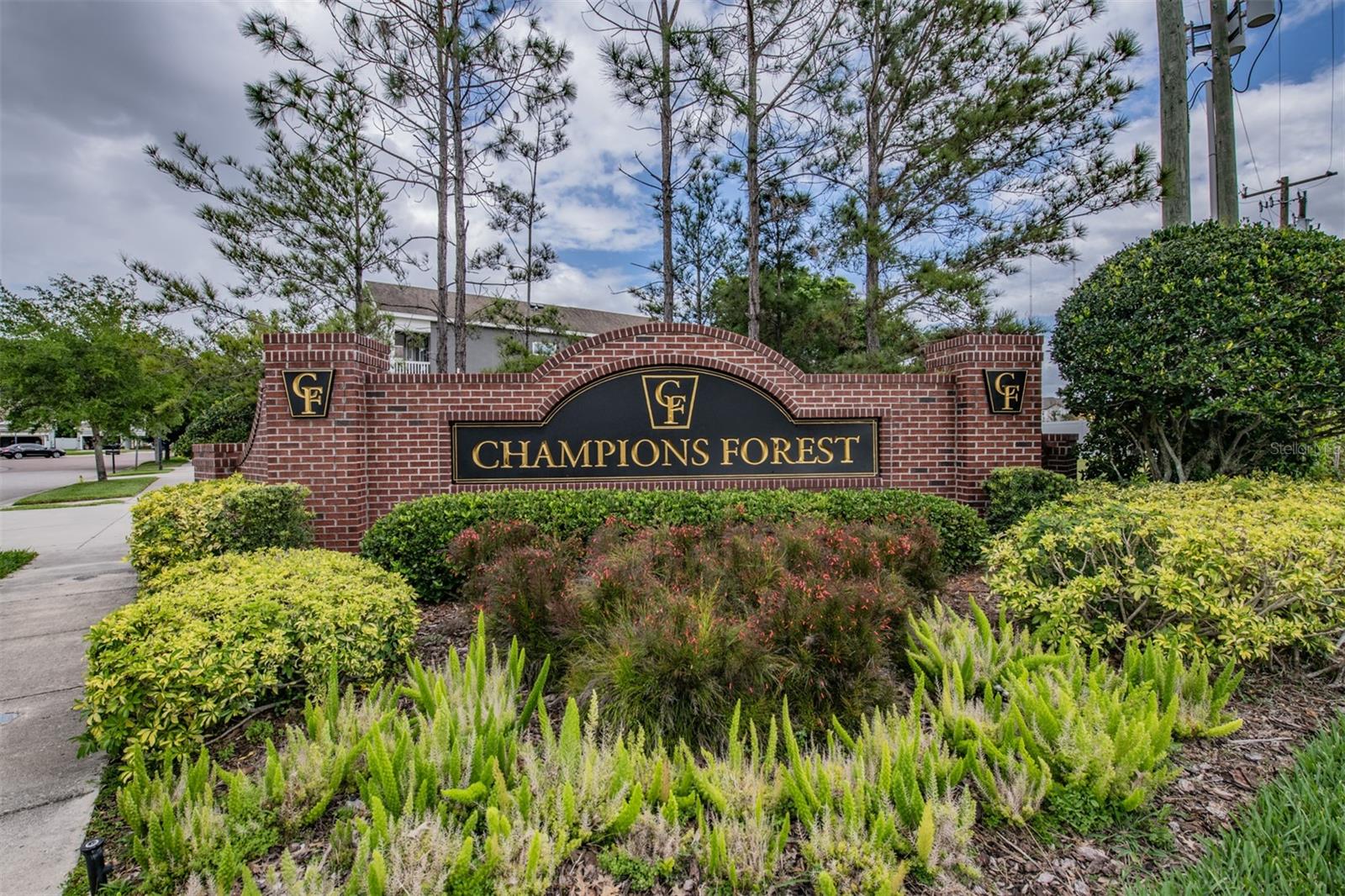 8115 CHAMPIONS FOREST WAY, TAMPA, FL, 33635