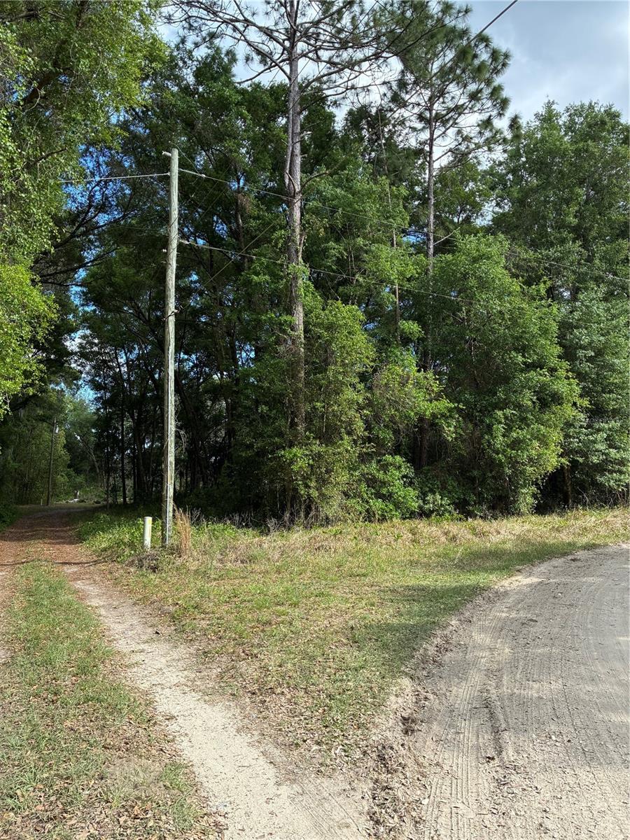 SE 142ND AVE AND SE 120TH PL, OCKLAWAHA, FL, 32179