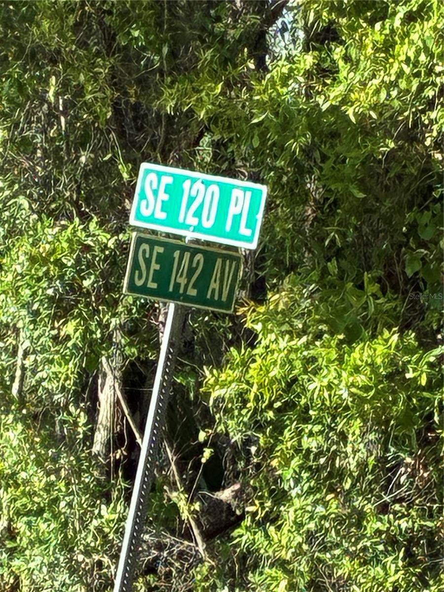 SE 142ND AVE AND SE 120TH PL, OCKLAWAHA, FL, 32179