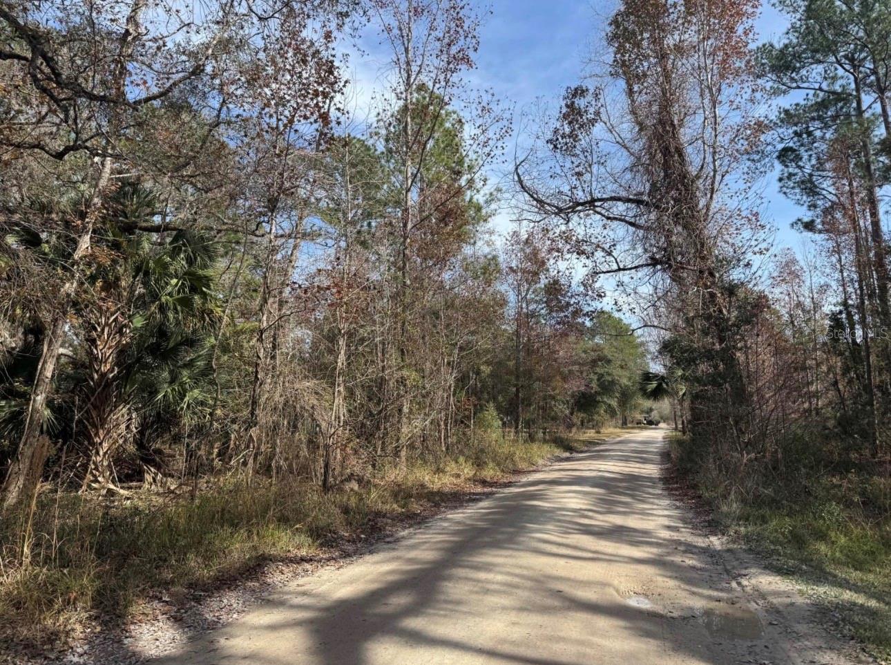 UNDETERMINED, CITRA, FL, 32113