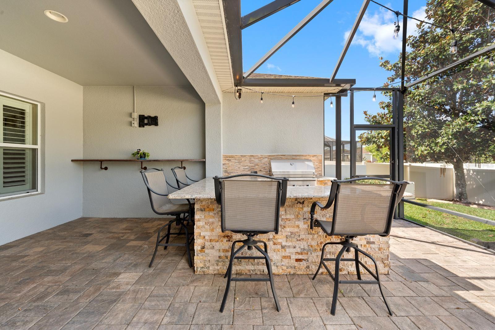 11403 SCRIBNER STATION LN, LITHIA, FL, 33547