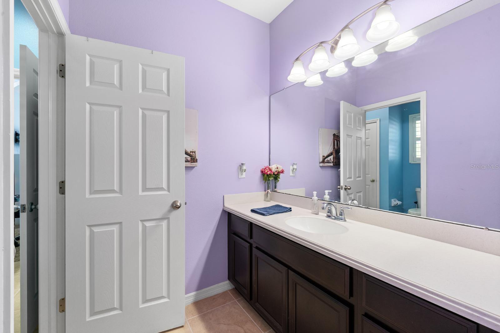 11403 SCRIBNER STATION LN, LITHIA, FL, 33547