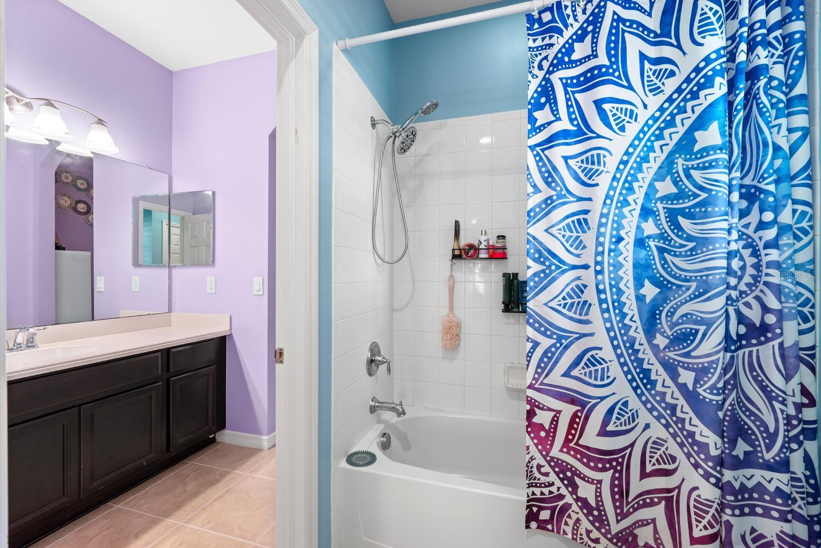 11403 SCRIBNER STATION LN, LITHIA, FL, 33547