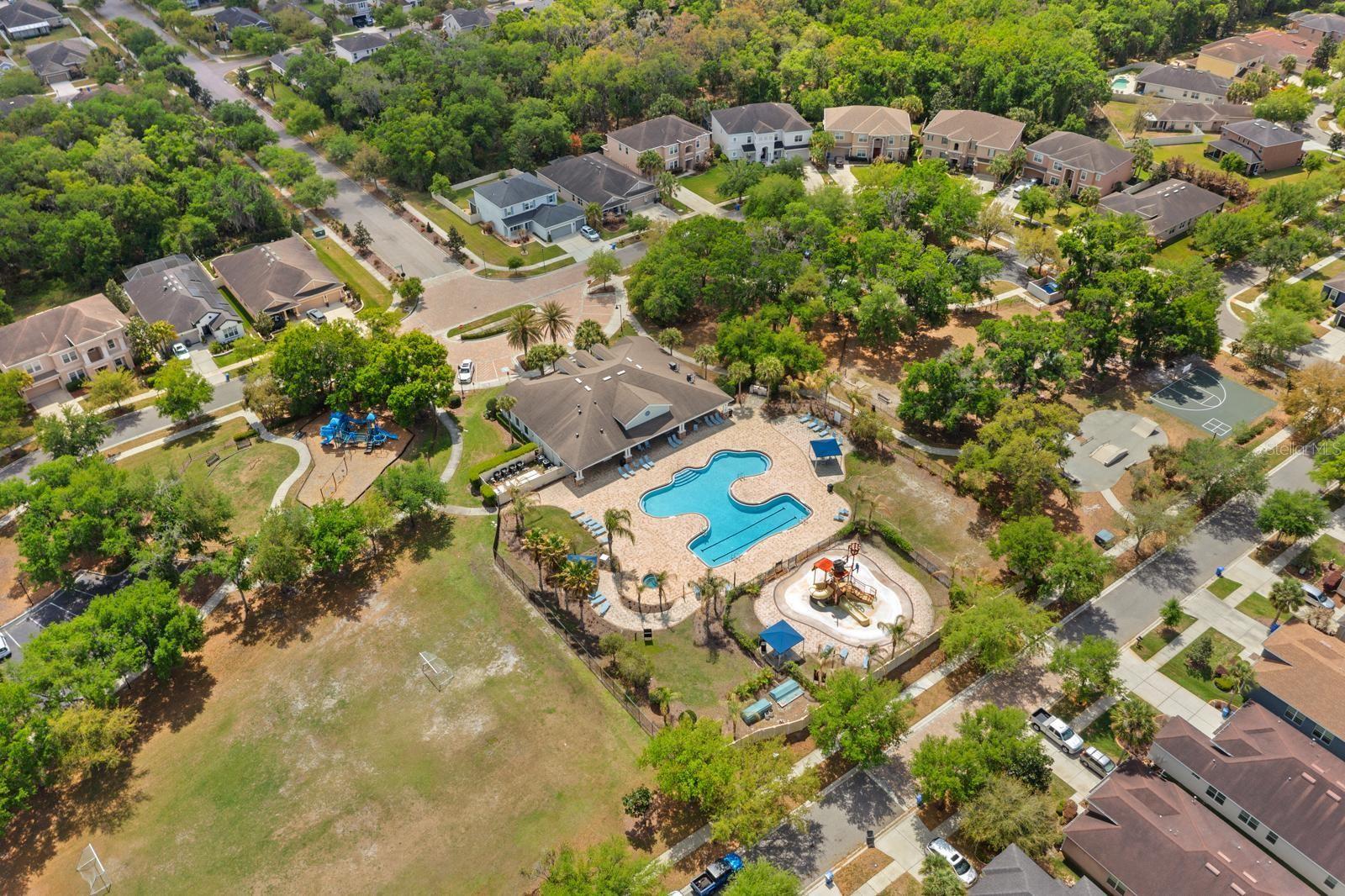 11403 SCRIBNER STATION LN, LITHIA, FL, 33547