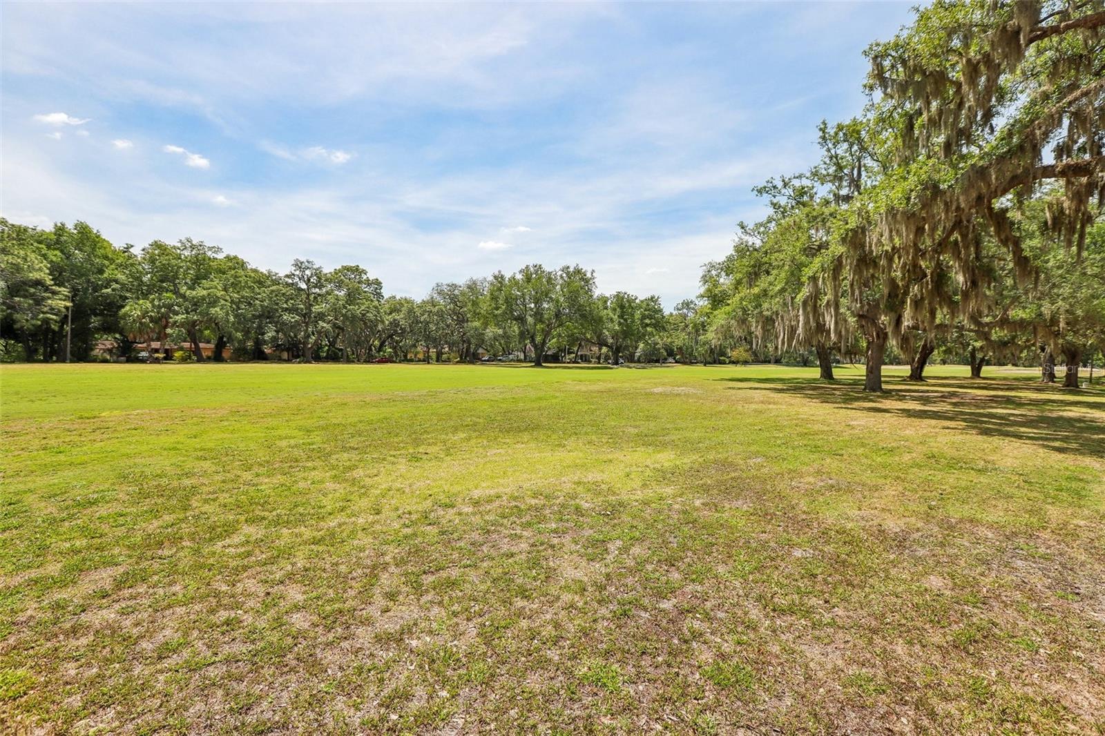 118 N GREENFIELD AVE, TEMPLE TERRACE, FL, 33617