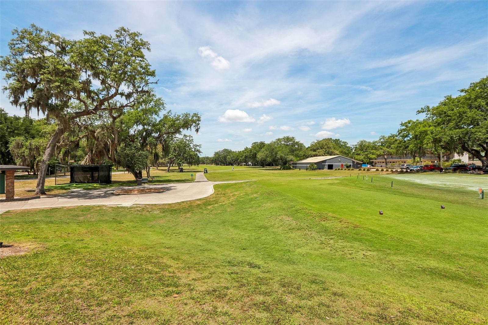 118 N GREENFIELD AVE, TEMPLE TERRACE, FL, 33617