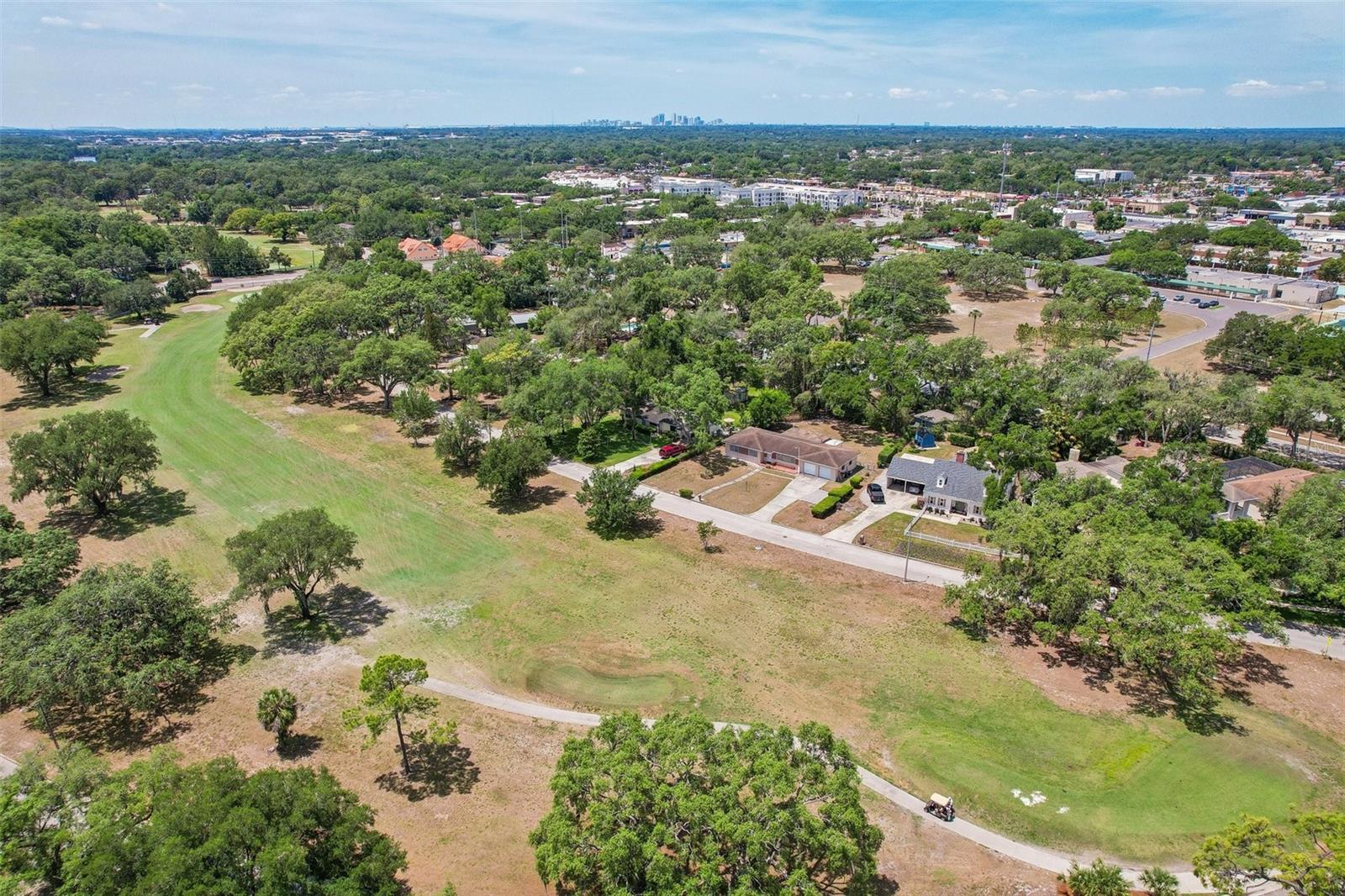 118 N GREENFIELD AVE, TEMPLE TERRACE, FL, 33617
