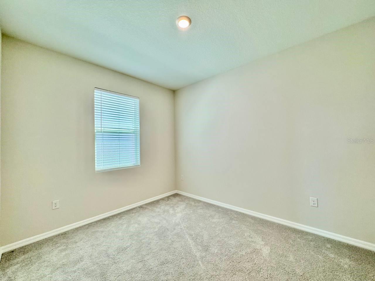 10959 COTTON VALE PL, SAN ANTONIO, FL, 33576