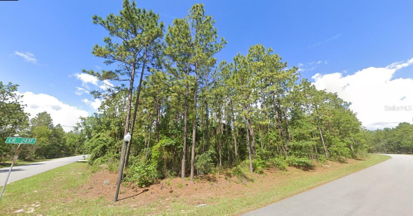 2020 CR 243 B, WILDWOOD, FL, 34785