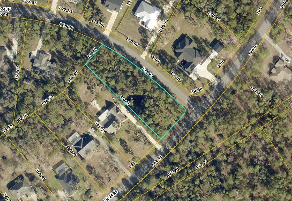 2020 CR 243 B, WILDWOOD, FL, 34785