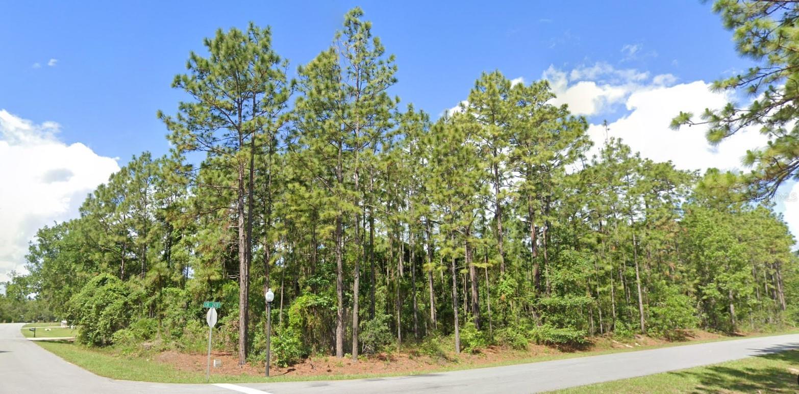2020 CR 243 B, WILDWOOD, FL, 34785