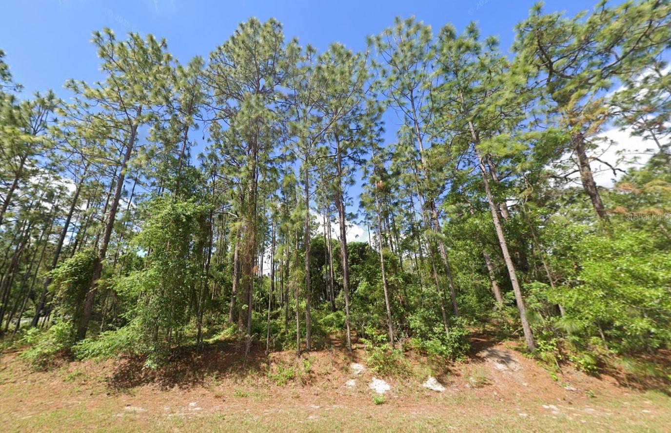 2020 CR 243 B, WILDWOOD, FL, 34785