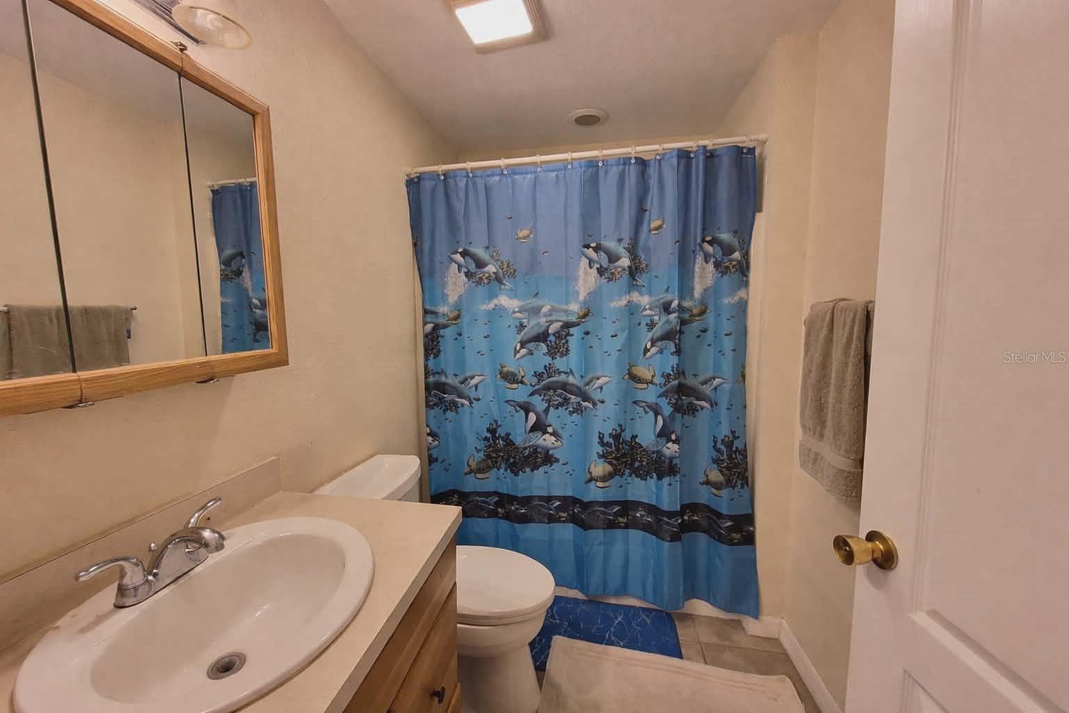 14396 SW 19TH PL, OCALA, FL, 34481