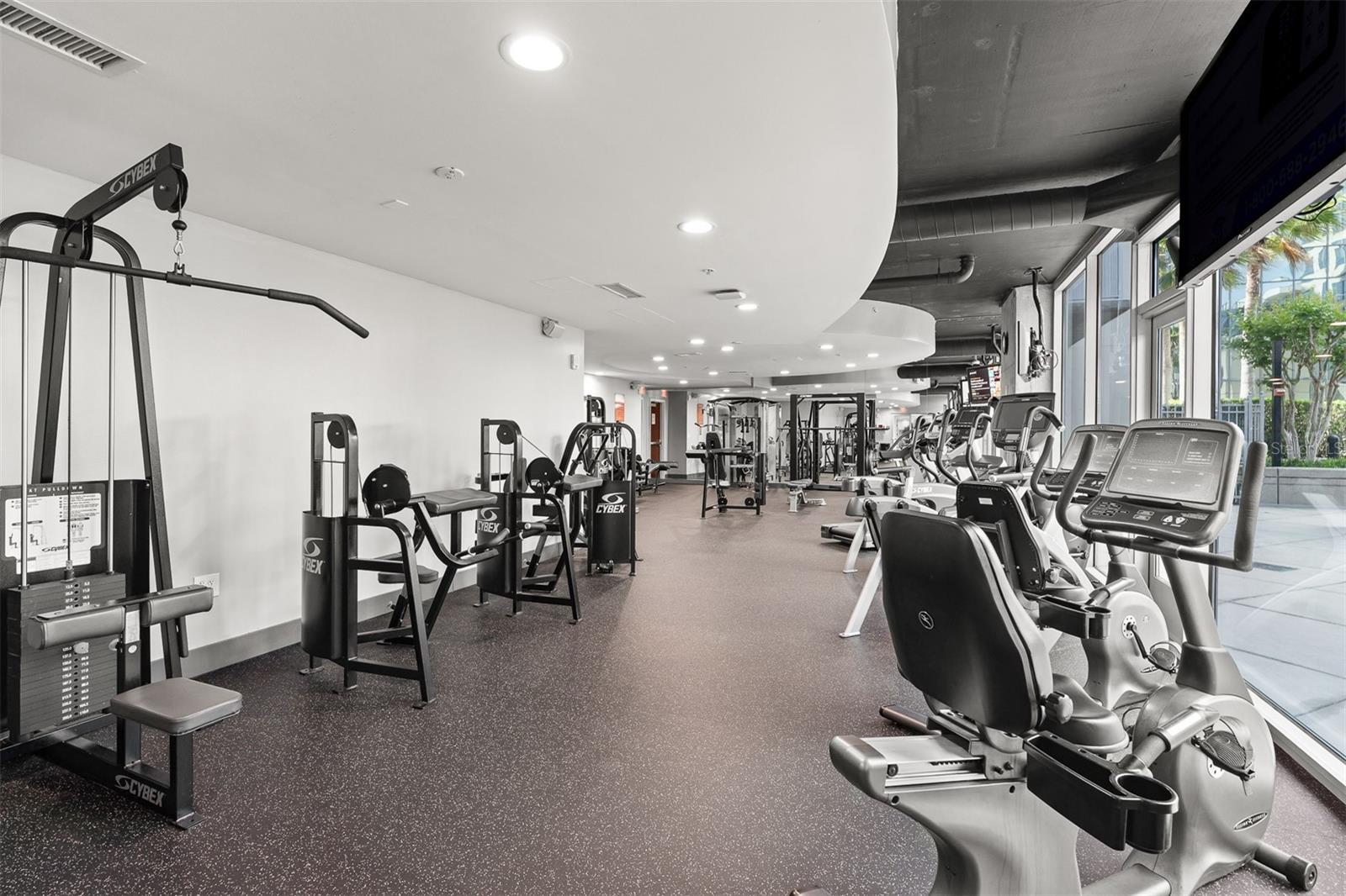 155 S COURT AVE #1604, ORLANDO, FL, 32801