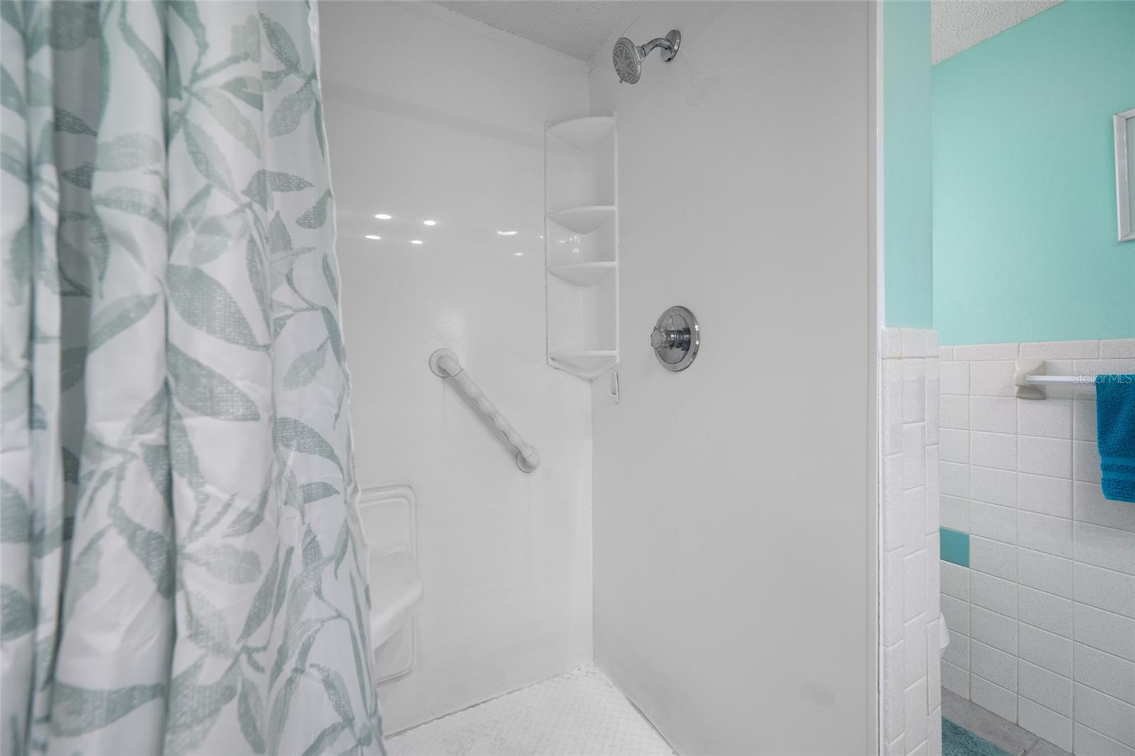 Downstairs bath shower