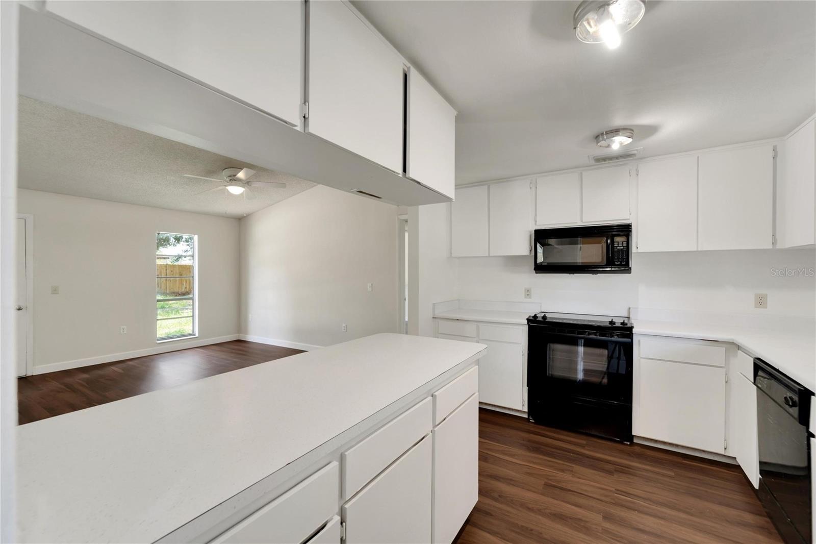 502 EUCLID AVE, SEFFNER, FL, 33584