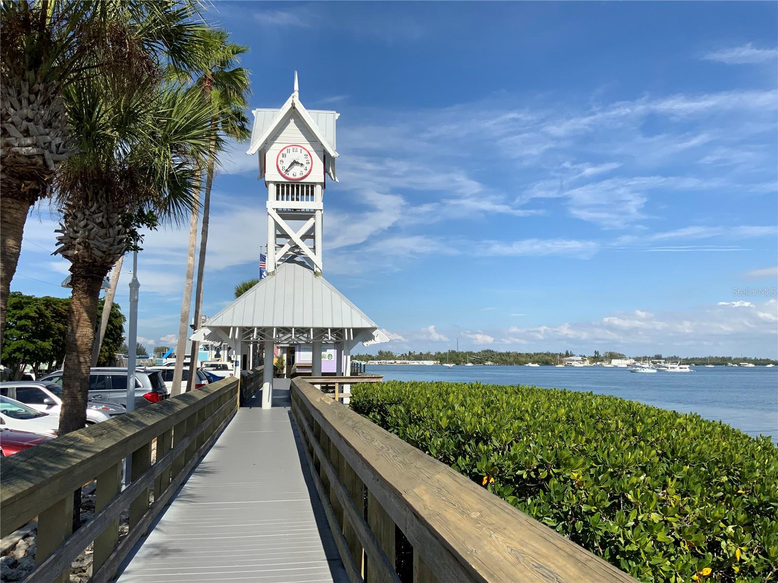 217 9TH ST E, BRADENTON, FL, 34208