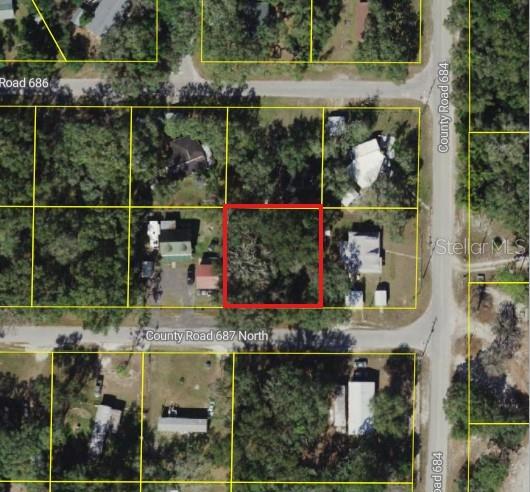 CR 687, WEBSTER, FL, 33597