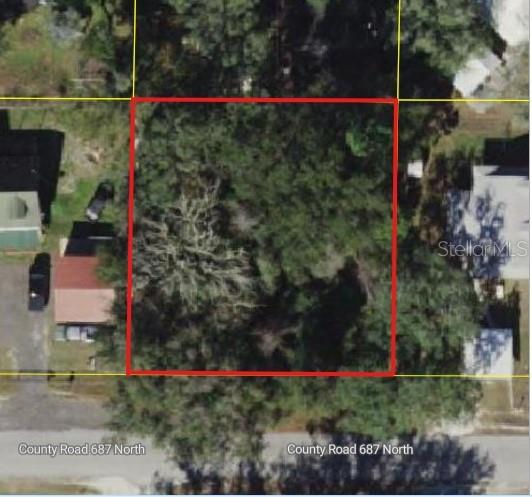 CR 687, WEBSTER, FL, 33597