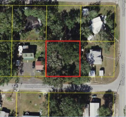 CR 687, WEBSTER, FL, 33597