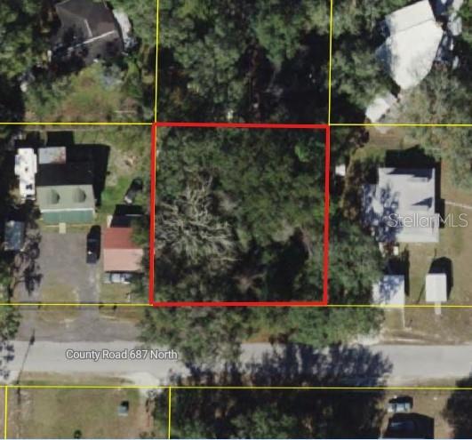 CR 687, WEBSTER, FL, 33597