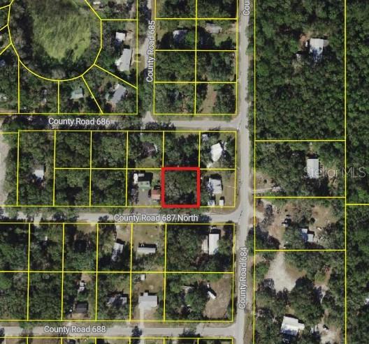CR 687, WEBSTER, FL, 33597