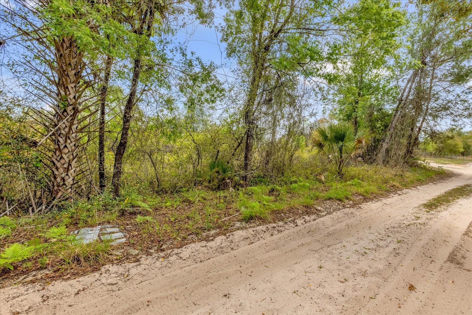 CHESTNUT AVE, ORANGE CITY, FL, 32763
