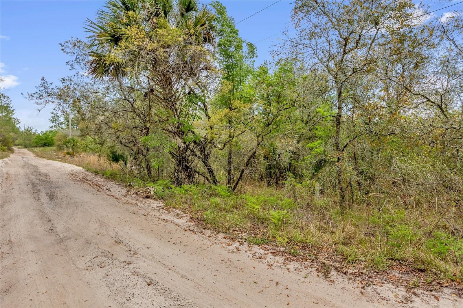 CHESTNUT AVE, ORANGE CITY, FL, 32763